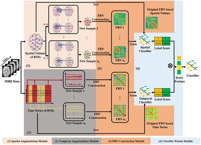 Spatial-temporal data-augmentation-based functional brain network analysis for brain disorders identification